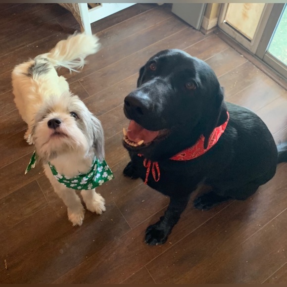 Hi! I love all things jewelry, clothes and shoes!! - Picture 5 of 8